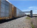 TTGX 708485